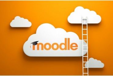 Learning Management Systems (LMS) Moodle Manager (16 hrs)